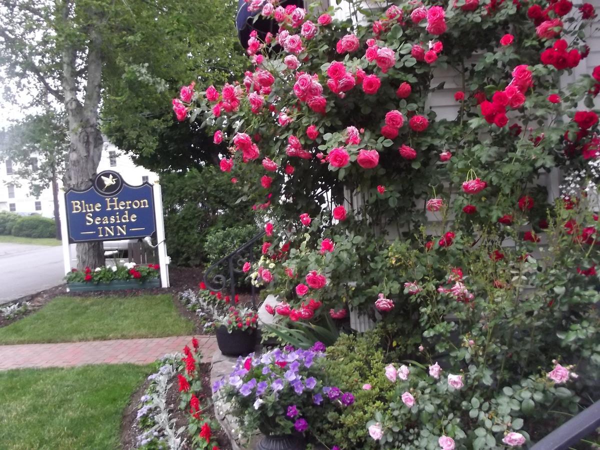 Blue Heron Seaside Inn Boothbay Harbor Exterior foto